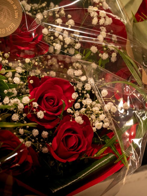 A close-up view of a floral arrangement featuring three large, deep red roses with gently unfurling petals, surrounded by delicate white baby's breath flowers. The bouquet is wrapped in clear plastic 